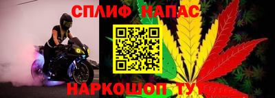 spice Дубна