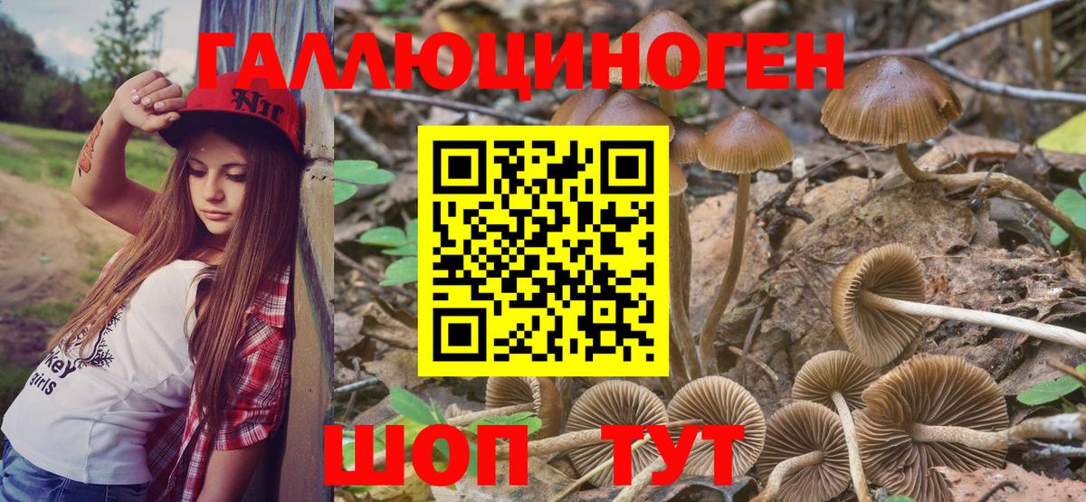Псилоцибиновые грибы MAGIC MUSHROOMS Нижнекамск